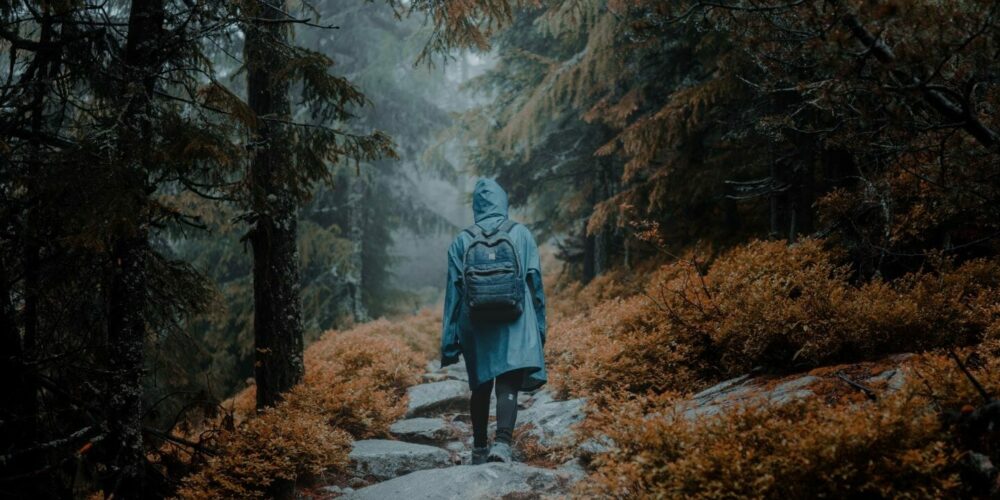 gantas-vaiciulenas-Re-zztQZ_Ks-unsplash_1440