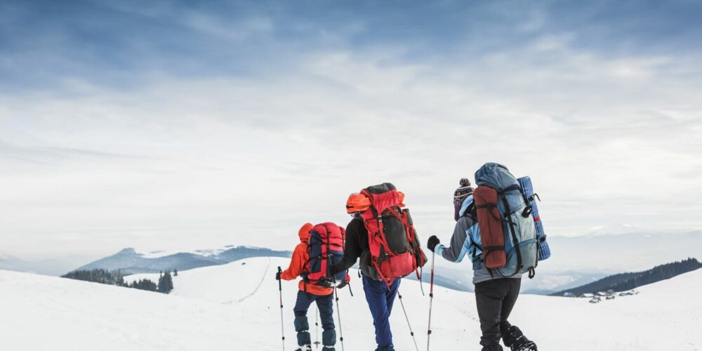 shutterstock_243271009