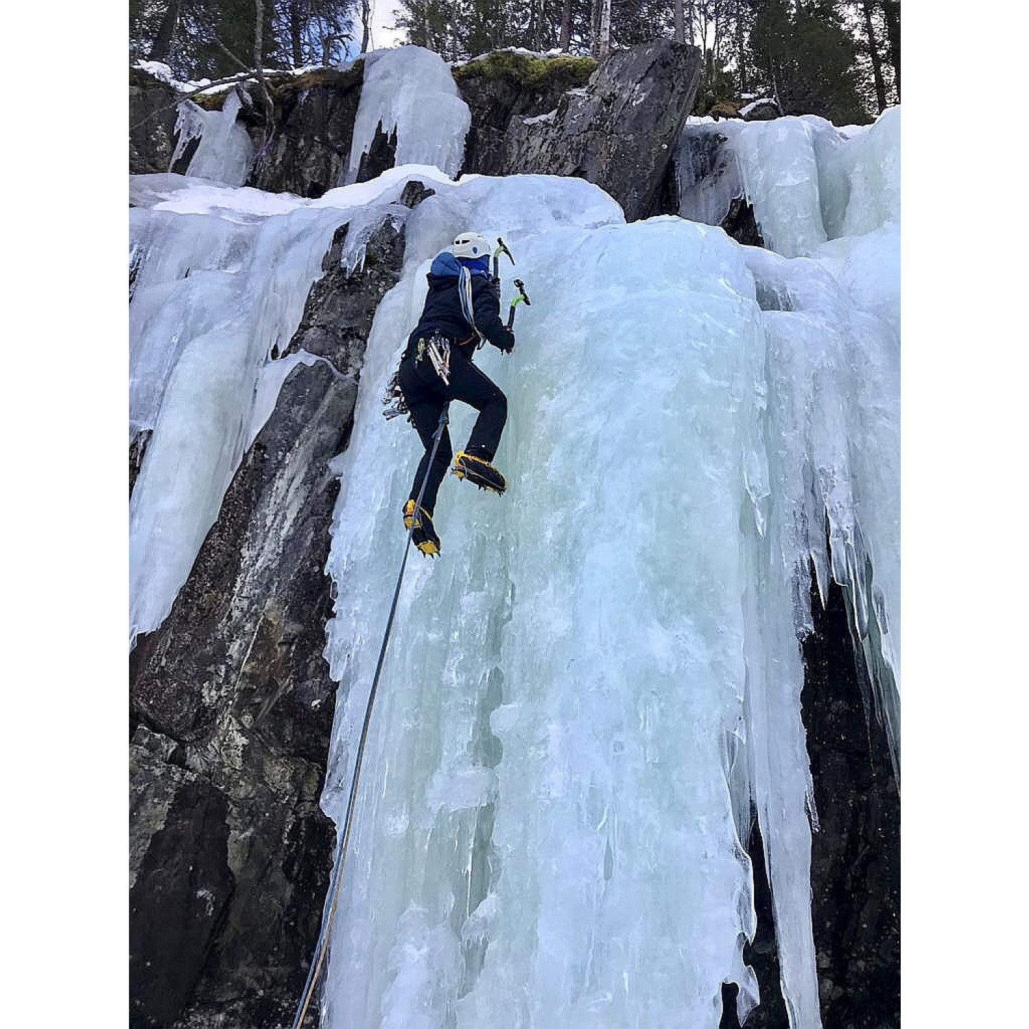 Black Diamond Alpine Bod Climbing Harness Buy online