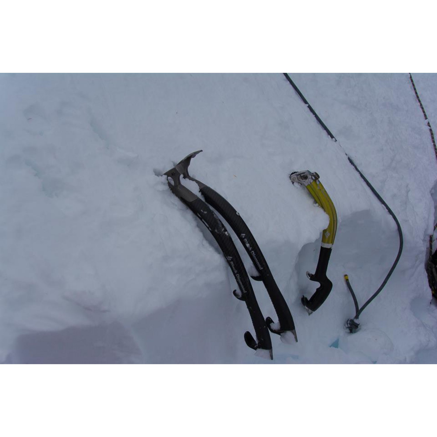 Black Diamond Cobra Ice Tool Buy online