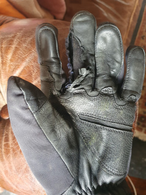 Image 1 from Rene of C.A.M.P. - G Pure - Gloves