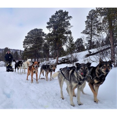 Image 1 from Christoph of Canada Goose - Expedition Parka - Winter jacket