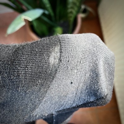 Image 1 from Laura of Darn Tough - Women's Solid Basic Crew Lightweight - Sports socks