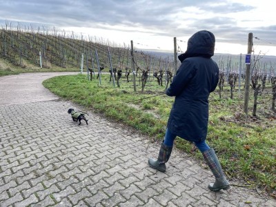 Image 1 from Tanja of Didriksons - Women's Tanja Parka - Winter jacket