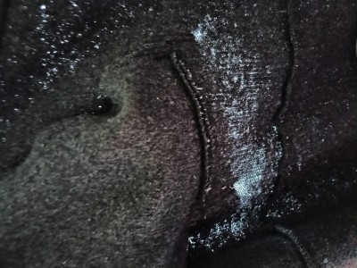 Image 1 from Manuela of disana - Women's Parka - Wool parka