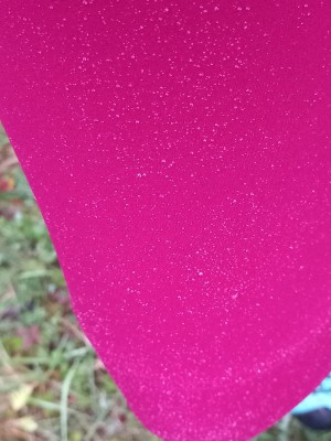 Image 1 from Doris of Dynafit - Women's Alpine Warm Pant - Running trousers