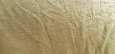 Image 1 from Tobias of Heber Peak - MerinoMix150 PineconeHe. T-Shirt - Merino shirt