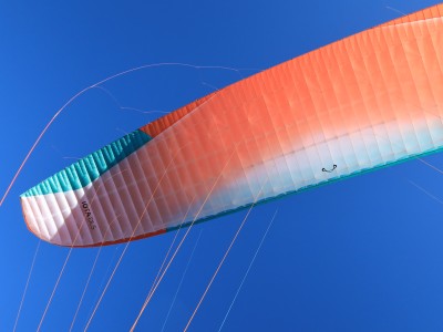 Image 1 from Axel of Hestra - Ergo Grip Tactility 5 Finger - Gloves