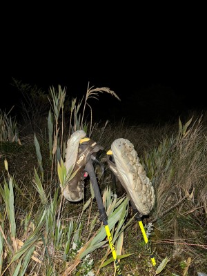 Image 1 from Arturs of HOKA - Hopara 2 - Multisport shoes