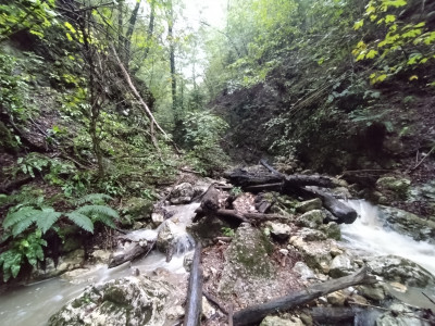 Image 1 from Matjaz of HOKA - Speedgoat 5 - Trail running shoes