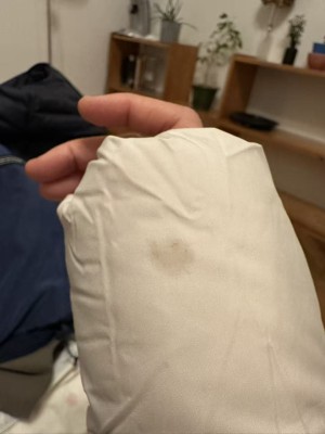 Image 1 from Beatrix of Jack Wolfskin - Women's Frozen Palace Coat - Coat