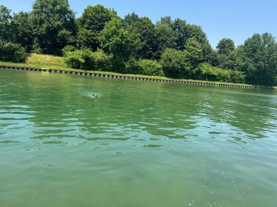 Image 1 from Inge of Keen - Women's Hyperport H2 - Sandals