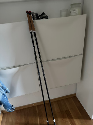 Image 1 from Ceylan of Leki - Pacemaker Lite - Nordic walking poles