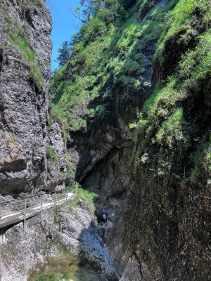 Image 1 from Angelika of Mammut - Women's Hiking V Capri Pants - Shorts