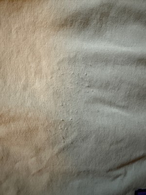 Image 1 from Nick of Patagonia - Baggies Lights 6'' - Shorts