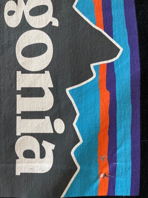 Image 1 from Dennis of Patagonia - P-6 Logo Responsibili-Tee - T-shirt