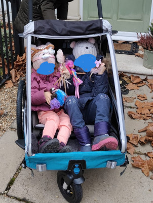 Image 1 from Gabriela of Qeridoo - Kidgoo2 - Child trailer
