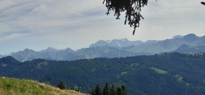Image 1 from Bruno of Scarpa - Mojito Trail GTX Suede - Multisport shoes