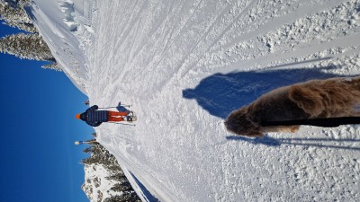 Image 1 from Alexandra of Tubbs - Flex TRK 22 Kit - Snowshoes
