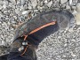Image 1 from Mark of AKU - Croda Dfs GTX - Mountaineering boots