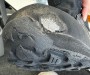 Image 2 from Luca of Heber Peak - EvergreenHe. WP Mid - Multisport shoes