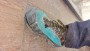 Image 2 from MARCIN of La Sportiva - TX4 Evo GTX - Approach shoes