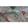 Image 1 from Heike of Mammut - Pendi 8.0 Dry - Half rope