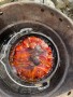 Image 2 from Benjamin of Petromax - Fire Pot - Pot
