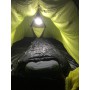 Image 2 from Michael of Petzl - Noctilight