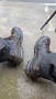Image 3 from matiss of Salewa - Alp Mate Winter Mid Waterproof - Winter boots