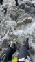 Image 2 from Pia-Maria of Salewa - Women's Ortles Ascent Mid GTX - Mountaineering boots