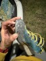 Image 3 from Alejandro of Scarpa - Gecko LT - Approach shoes