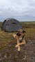 Image 3 from Florian of Stoic - FästaSt. EXT 3P UL - 3-person tent