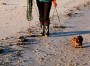 Image 1 from Jolanta of Tretorn - Women's Skanör - Wellington boots